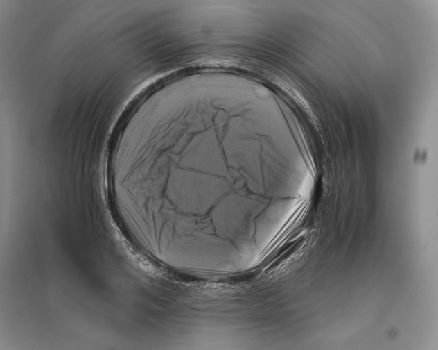 X0000096180984200802151437
