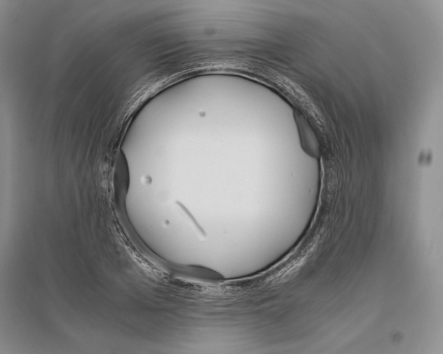 X0000096180985200802151437