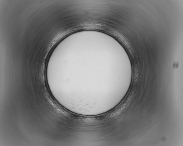 X0000096180986200802151437