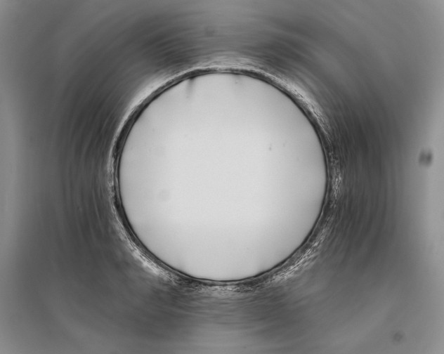 X0000096180990200802151437