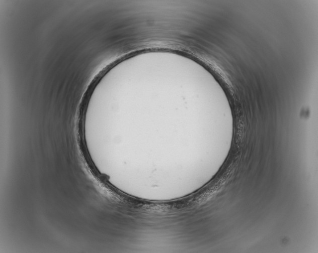 X0000096180991200802151437