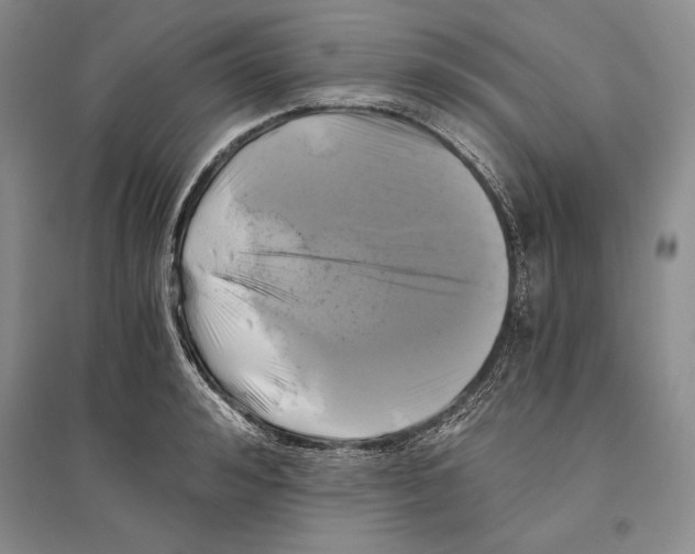 X0000096180992200802151437