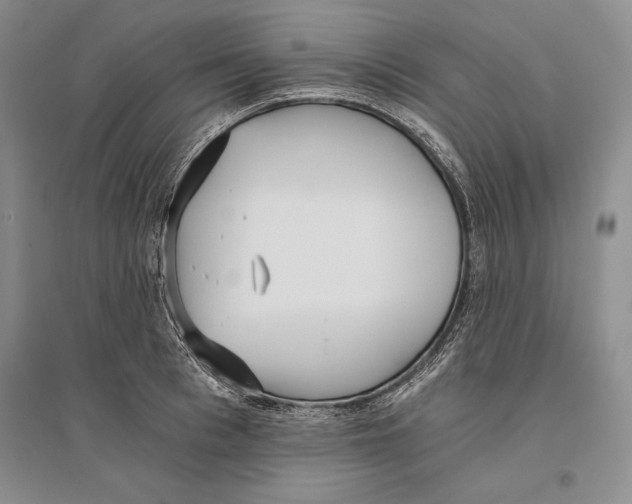 X0000096180993200802151437