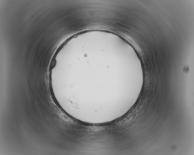 X0000096180996200802151437