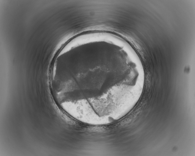 X0000096180998200802151437