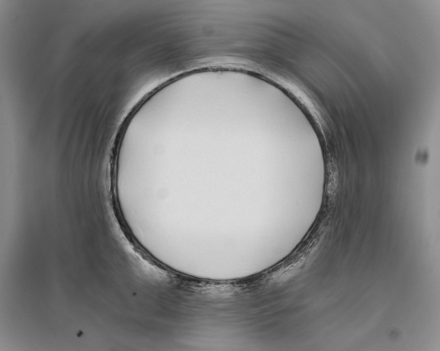 X0000096180999200802151437