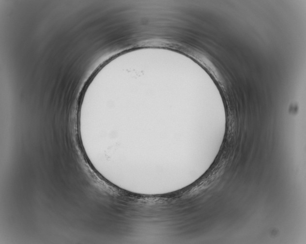 X0000096181000200802151437