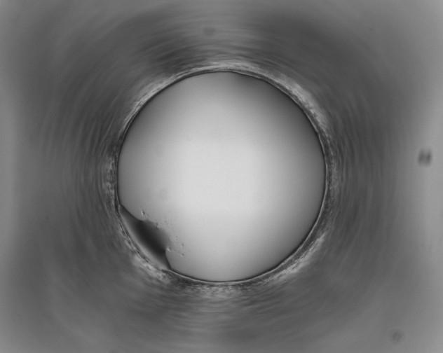X0000096181001200802151437
