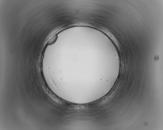 X0000096181002200802151437
