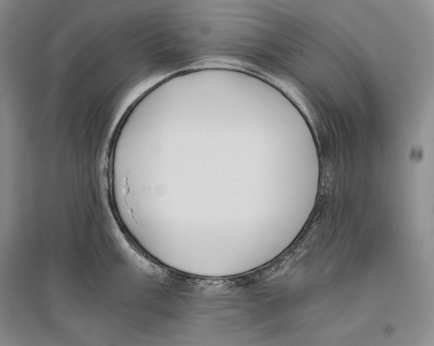 X0000096181003200802151437
