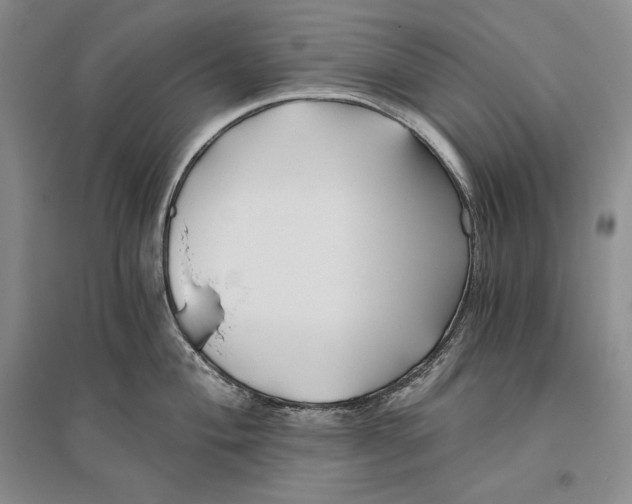 X0000096181004200802151437