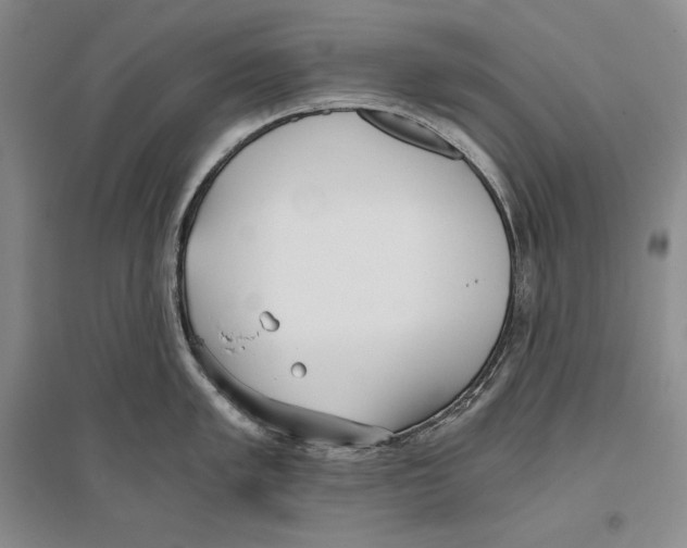 X0000096181005200802151437