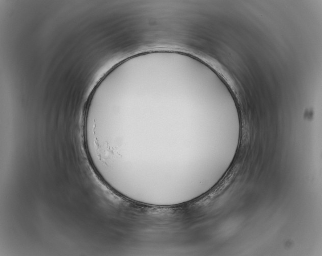 X0000096181006200802151437