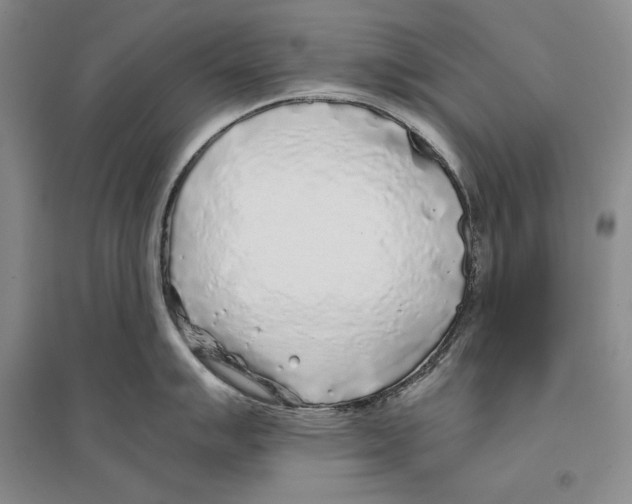 X0000096181007200802151437