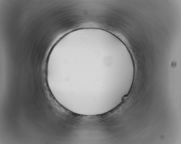 X0000096181008200802151437