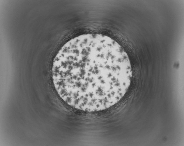 X0000096181009200802151436