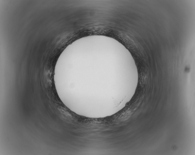 X0000096181010200802151436