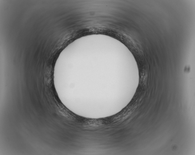 X0000096181012200802151436