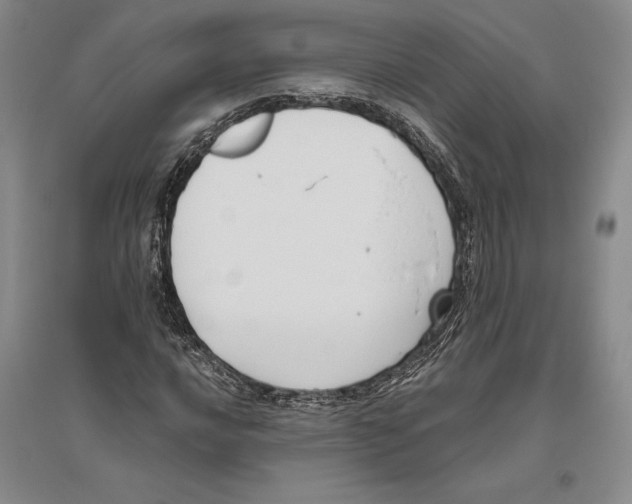 X0000096181016200802151436