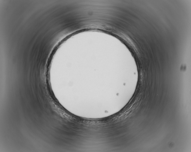 X0000096181020200802151436