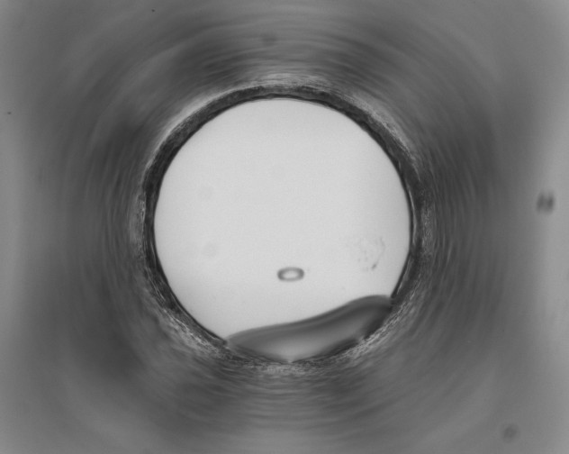 X0000096181021200802151436