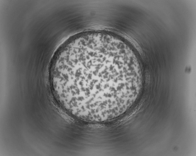 X0000096181023200802151436