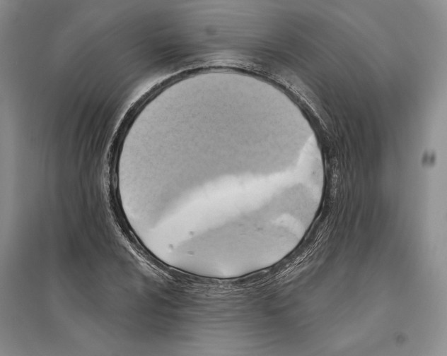 X0000096181024200802151436