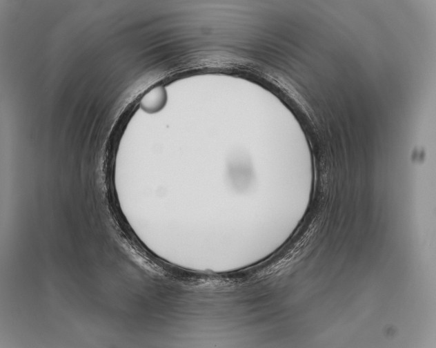 X0000096181026200802151436