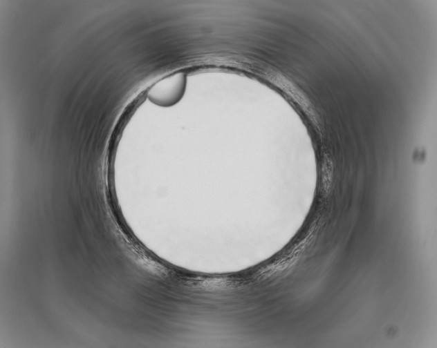 X0000096181028200802151436