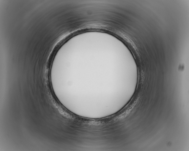X0000096181029200802151436