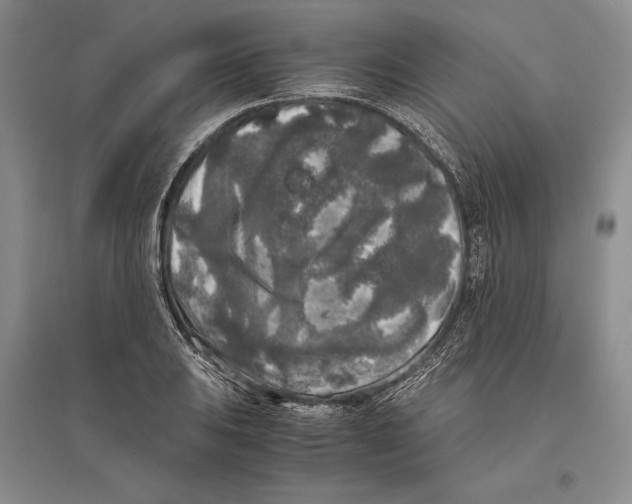 X0000096181031200802151436