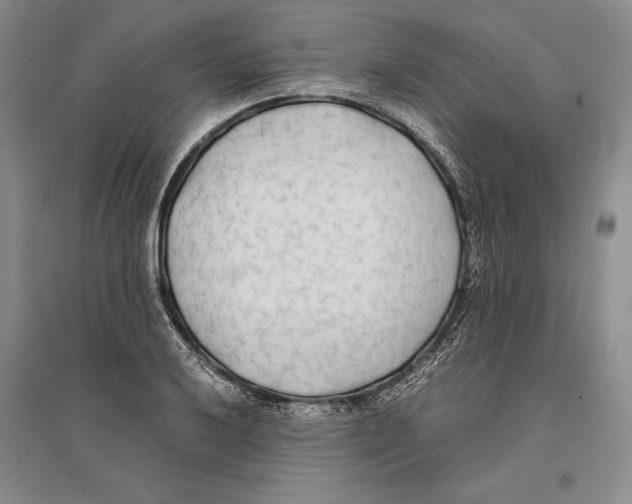 X0000096181032200802151436