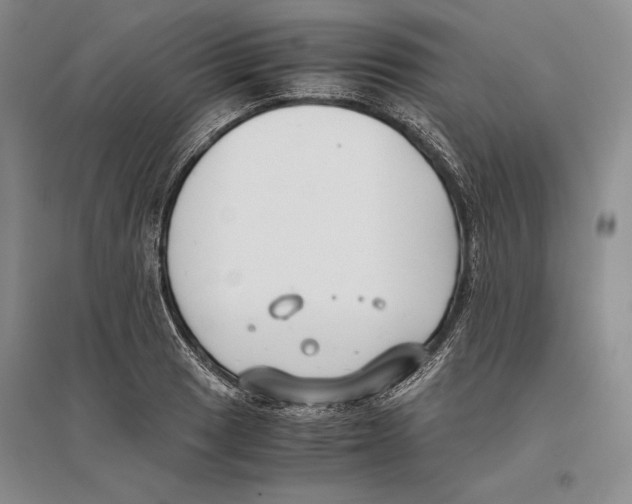 X0000096181033200802151436