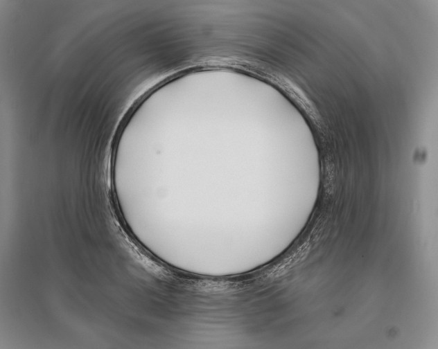 X0000096181036200802151437