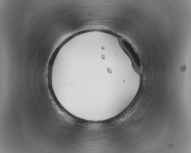 X0000096181038200802151437