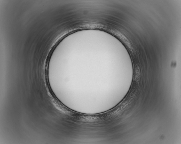 X0000096181039200802151437