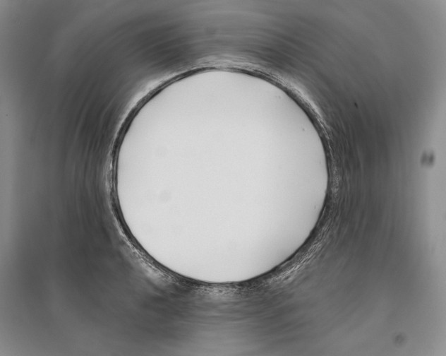 X0000096181040200802151437