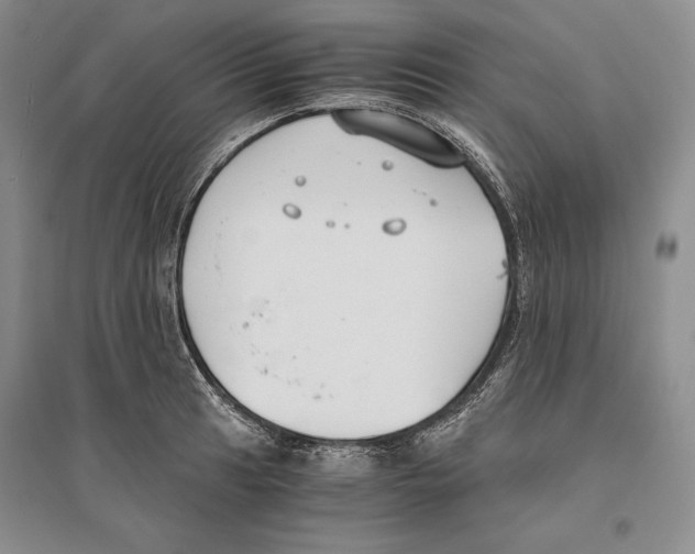 X0000096181041200802151437
