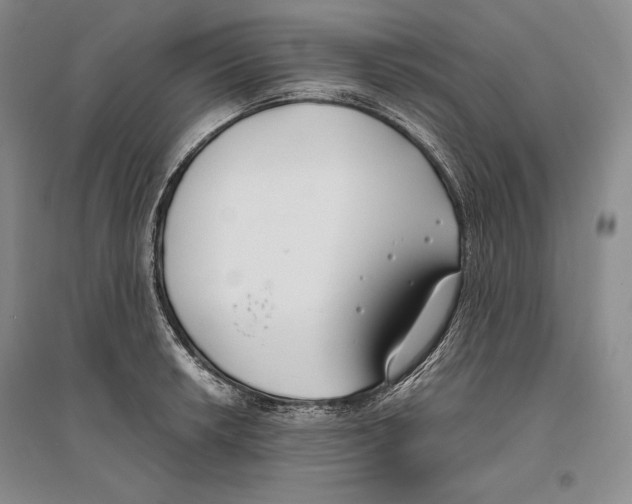X0000096181042200802151437
