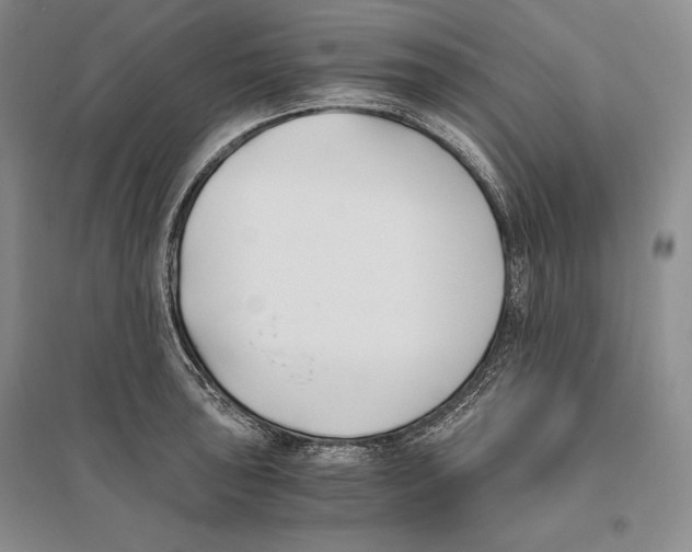 X0000096181043200802151437