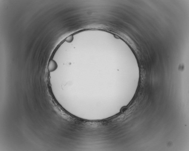 X0000096181044200802151437