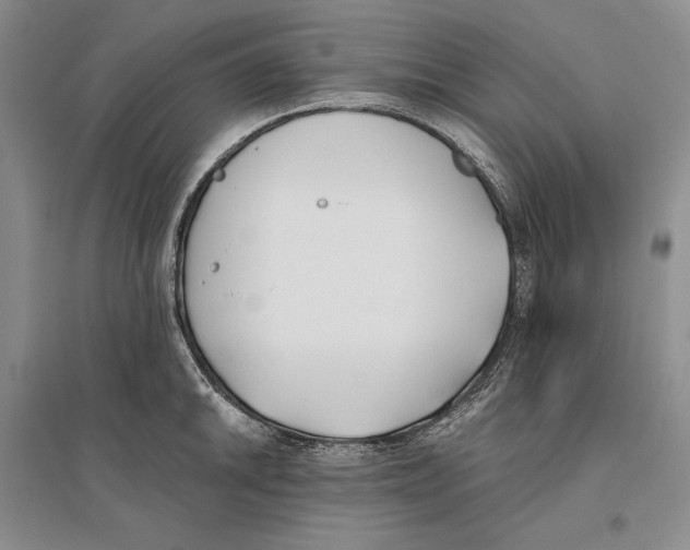 X0000096181046200802151437