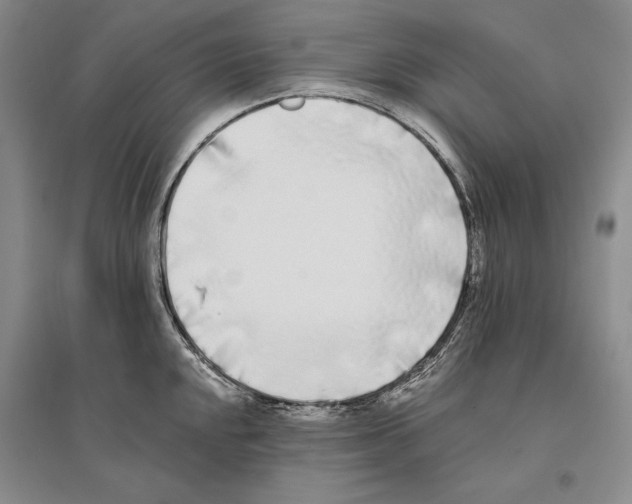 X0000096181048200802151437