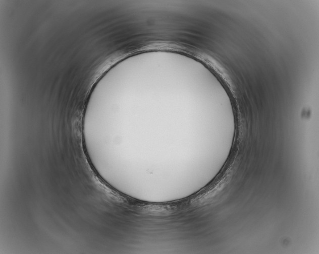 X0000096181049200802151437