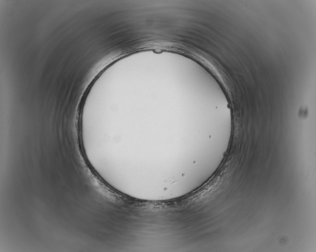 X0000096181050200802151437