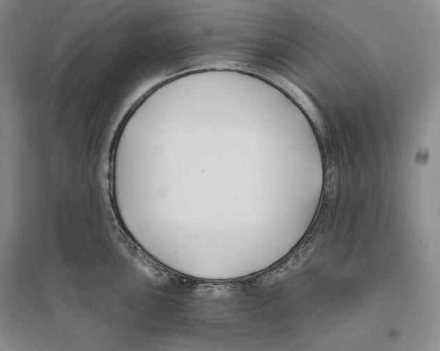 X0000096181051200802151437
