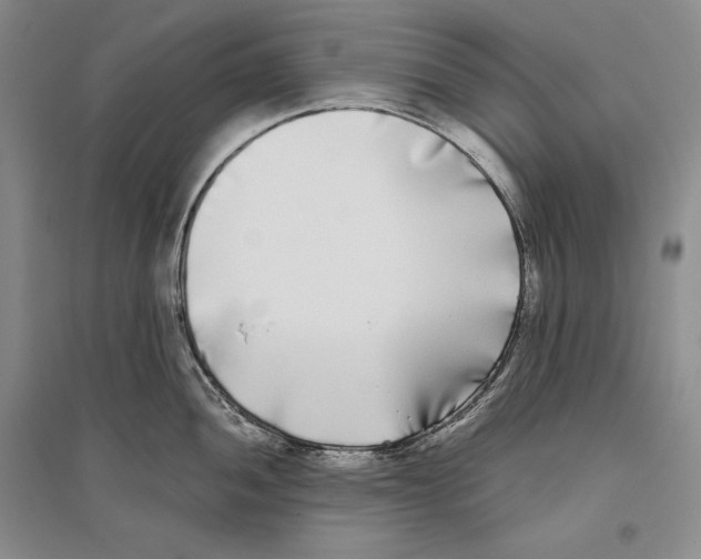 X0000096181052200802151437