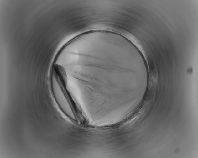 X0000096181053200802151437