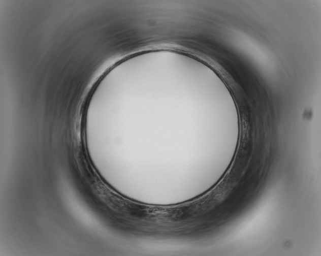 X0000096181054200802151437