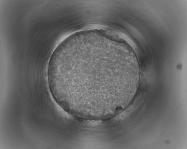 X0000096181055200802151437